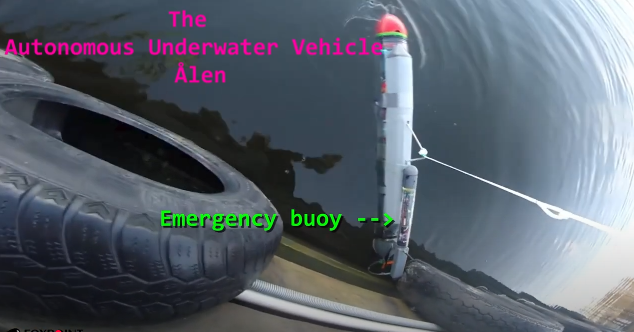 The Eel and its emergency buoy