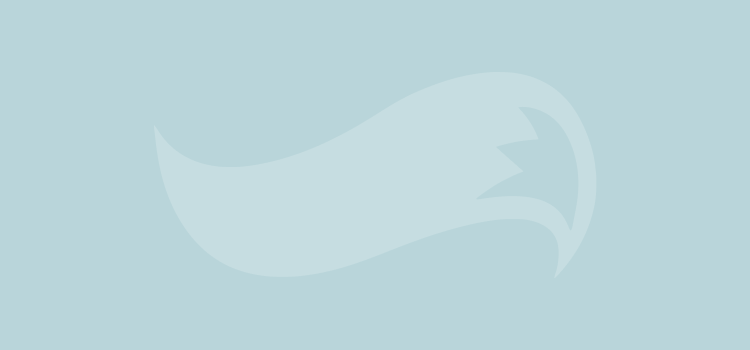 Foxpoint logo